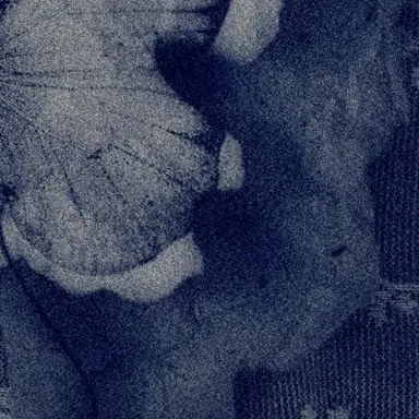 Profile image of 大森元貴