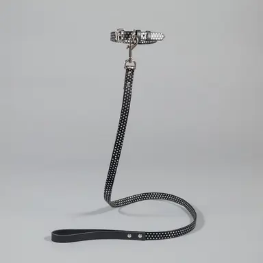 Profile image of 하인