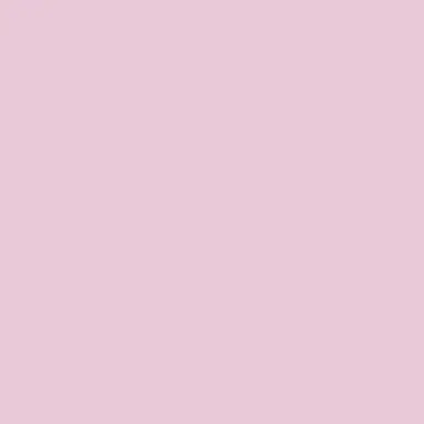 Profile image of けちゃ