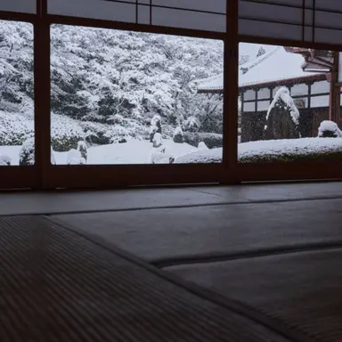 Profile image of 五条 幹生