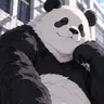 Profile image of パンダ