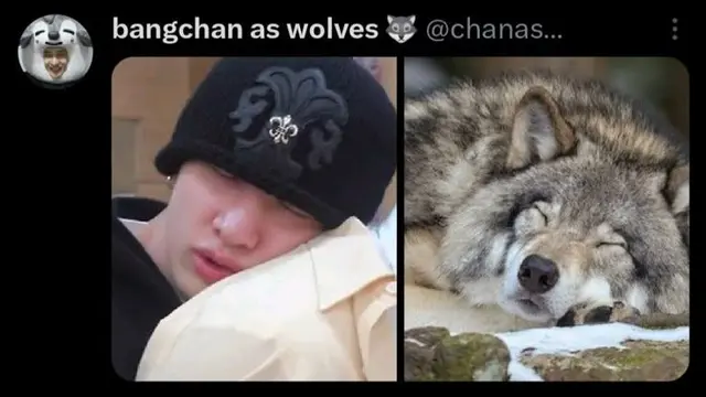 Profile image of Bangchan