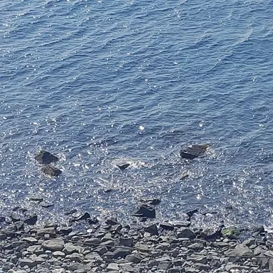 Profile image of ex라을