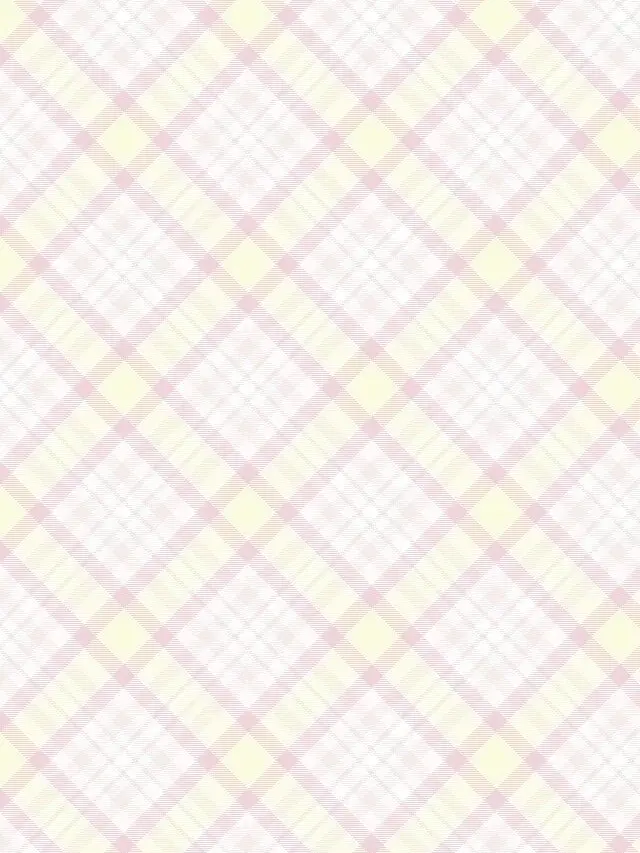 ________0_0의 彼氏はいません今夜だけ