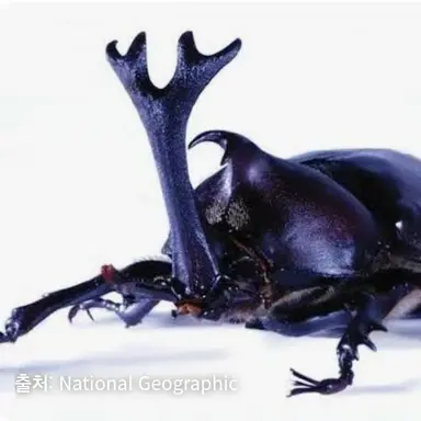 Profile image of 장풍이