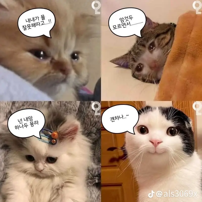CockyHero9962의 이용복