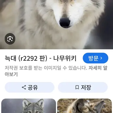 Profile image of 늑대