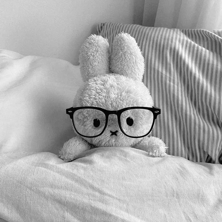 EvE0의 ⋆. 𐙚 ̊♪⋆.✮