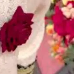 Profile image of 宮舘涼太