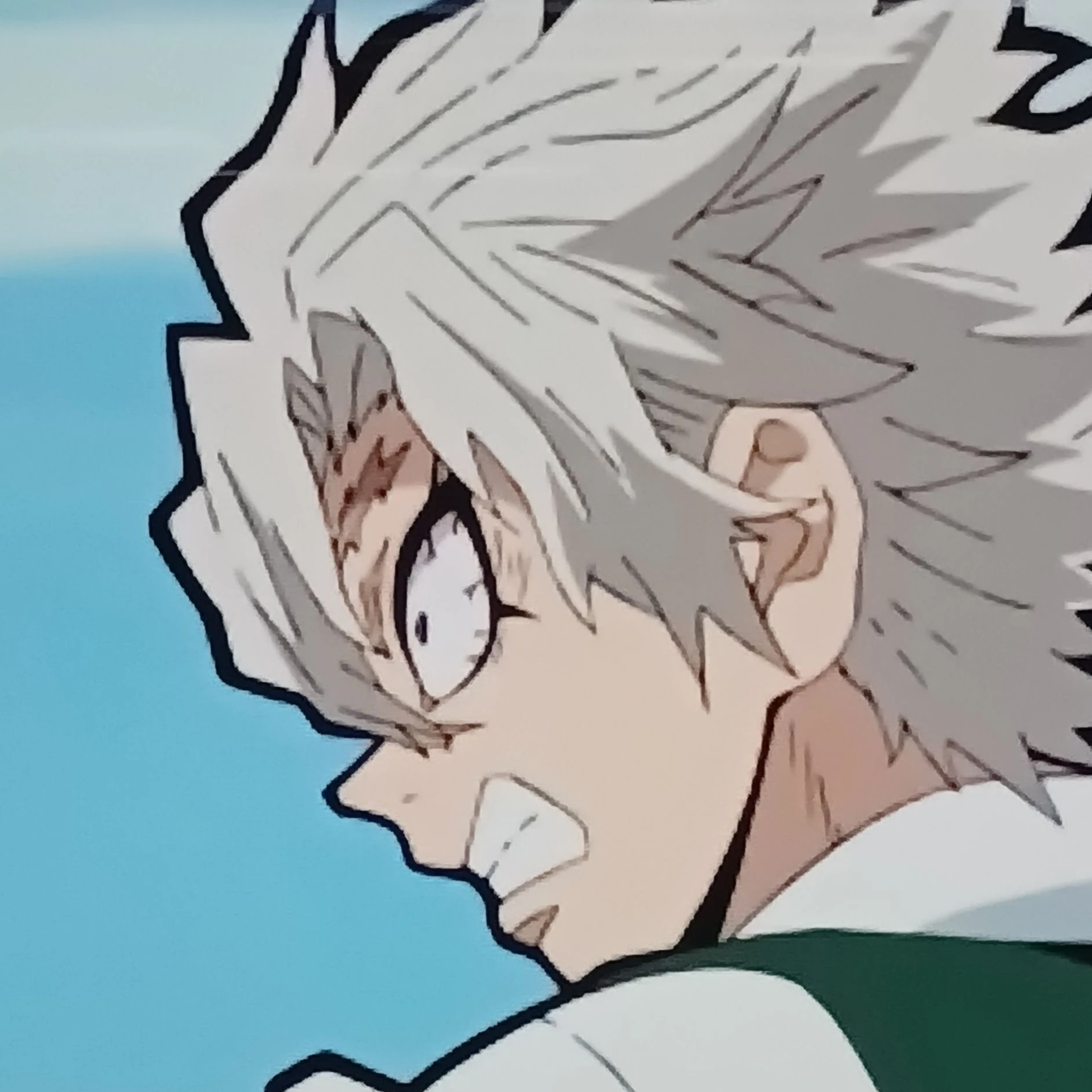 시나즈가와 사네미