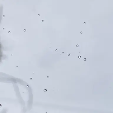 Profile image of 로스