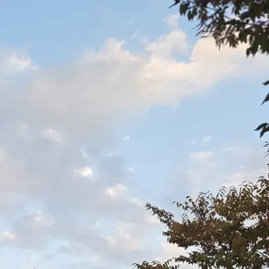 Profile image of 덕개