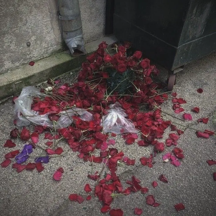 vousmevoyez.의 김민정