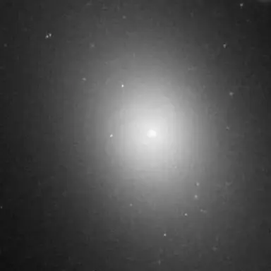 Profile image of IC1101