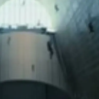 Profile image of 클로버 잭