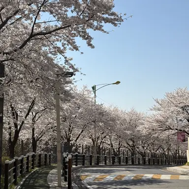 Profile image of 엄마