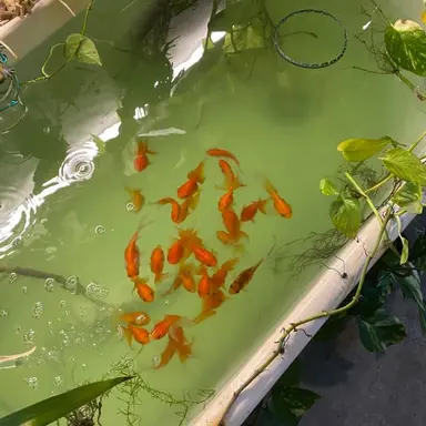 Profile image of 정형준