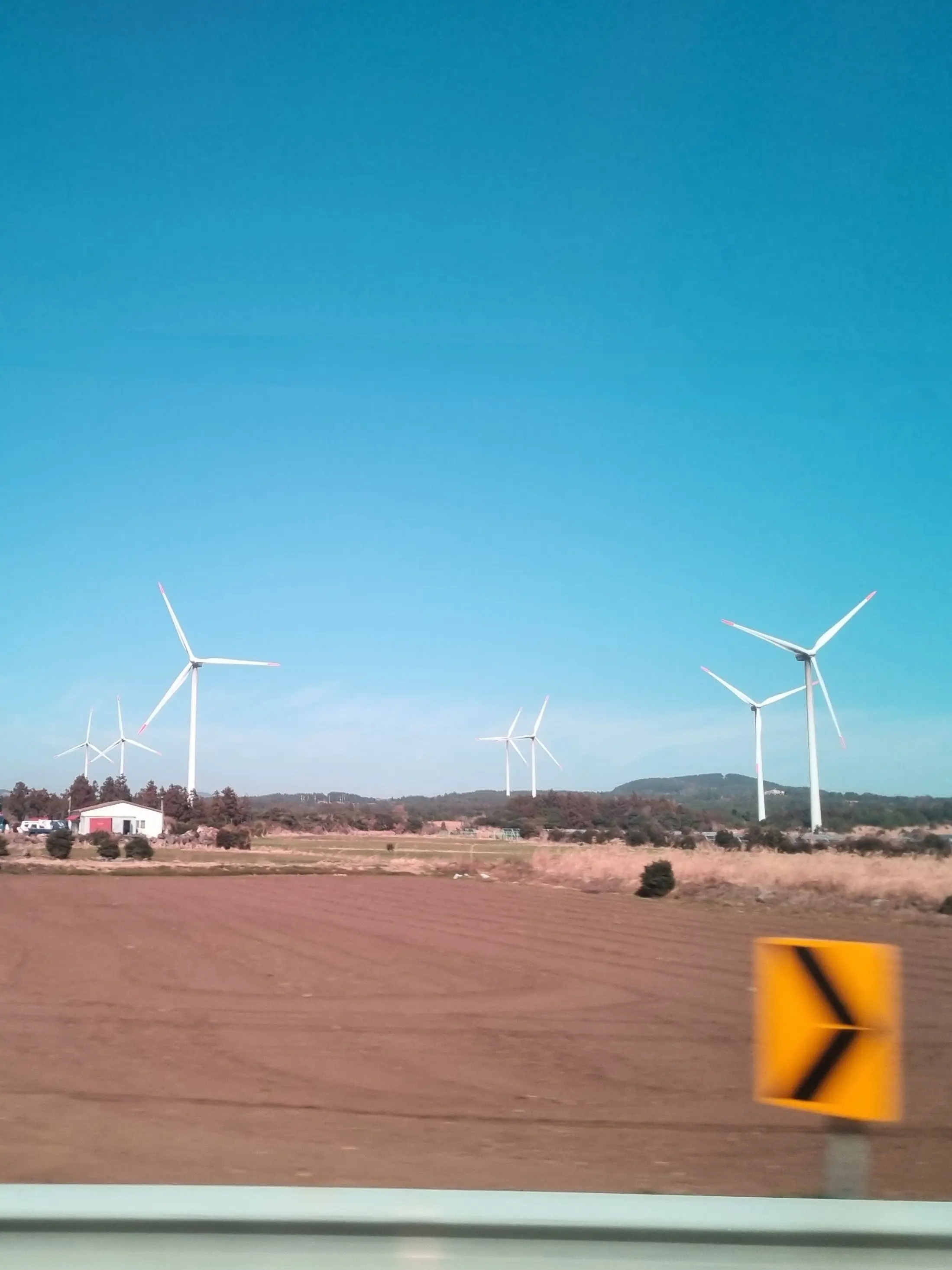 aed74cc890의 카카오프렌즈