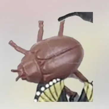 Profile image of ブラウンテントウ