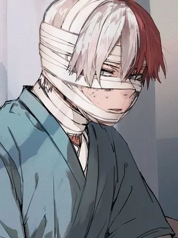 Novachanz의 Shoto Todoroki
