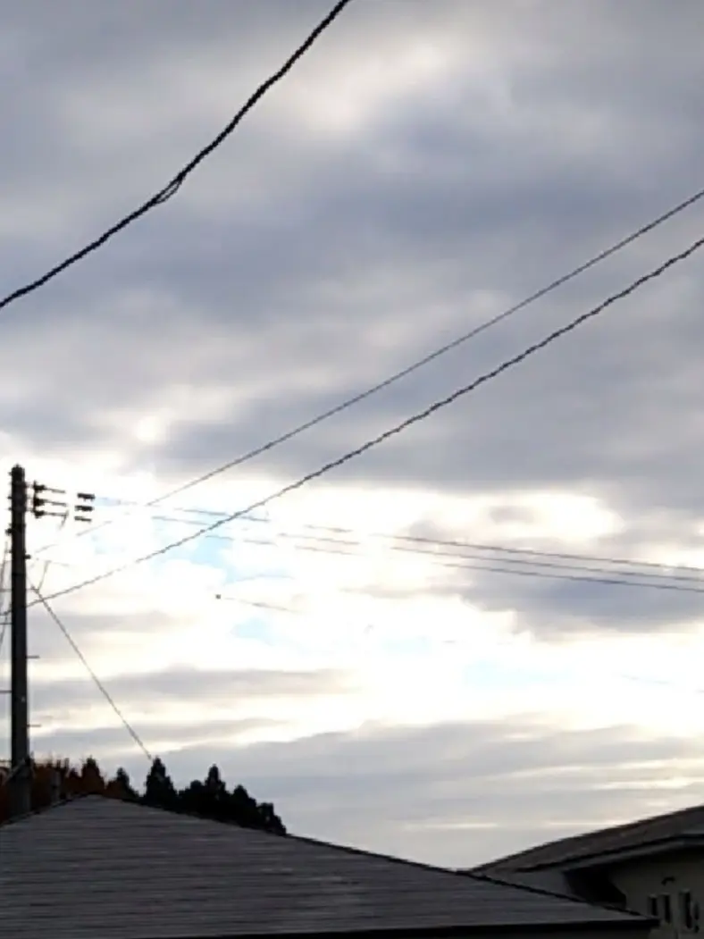 rai114의 体が弱い私を恨む姉