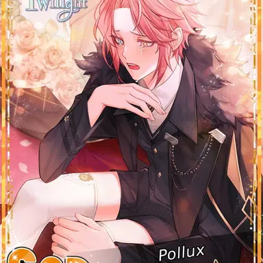 Profile image of 폴룩스