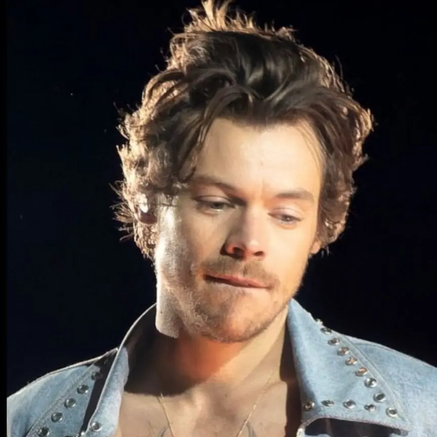 Tpwk의 Harry Styles