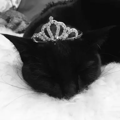 Profile image of Lilah