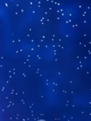 BusyLip0394의 流星群の日に…