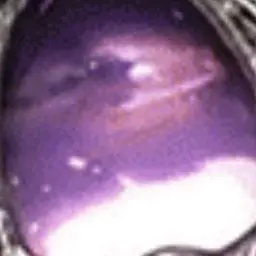 Profile image of 심연공주