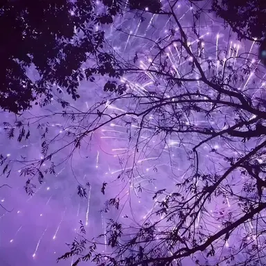 Profile image of 배탄구