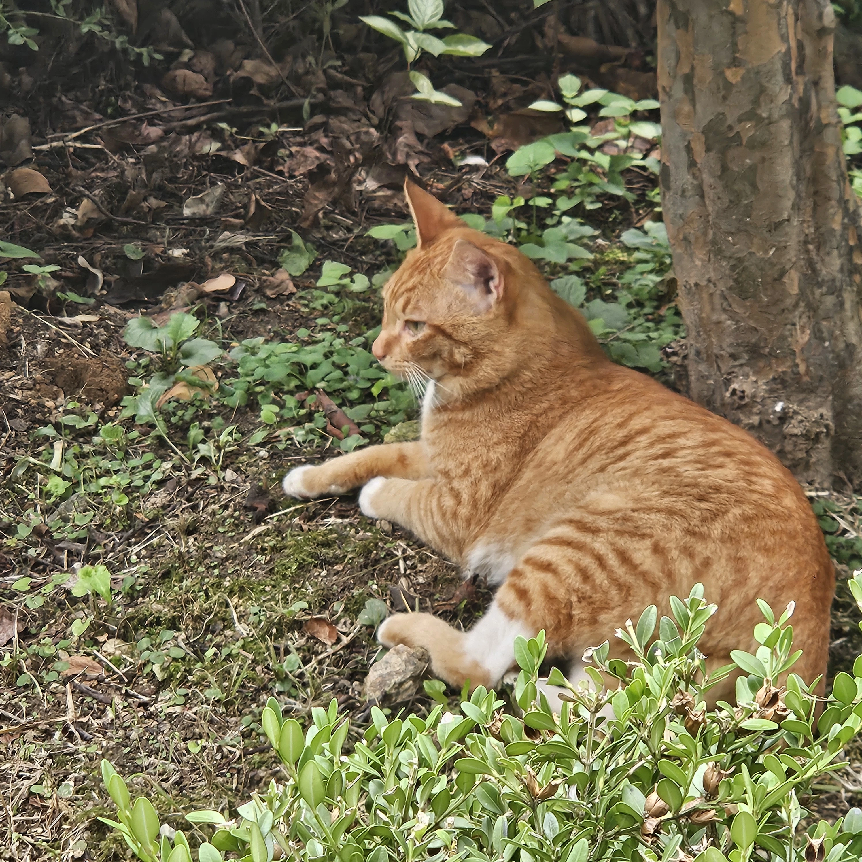 김준구