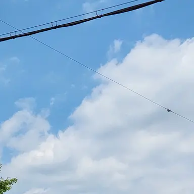 Profile image of 최일구