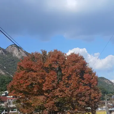 Profile image of 늑대