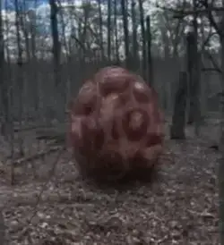 Profile image of Vita Carnis