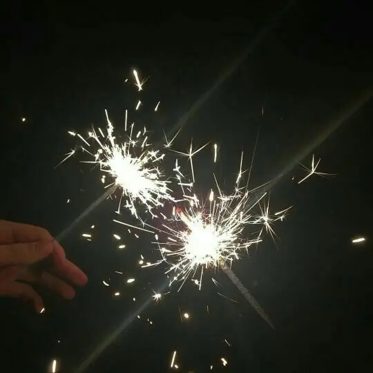 Dam_wol의 정 공룡