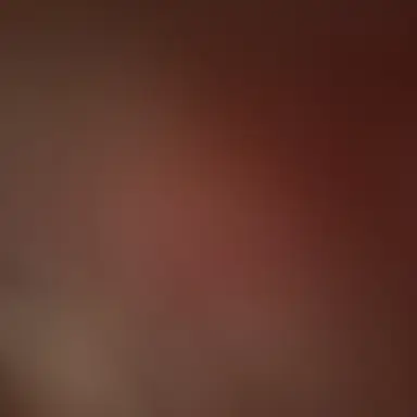 Profile image of 문 성 호