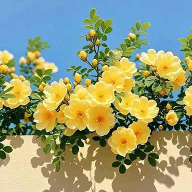 Profile image of 각별