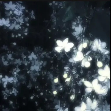 Profile image of 키츠네 유코