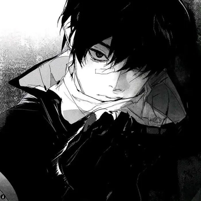 FunnyKoala5440의 아이소