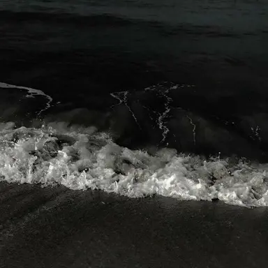 Profile image of 최수아