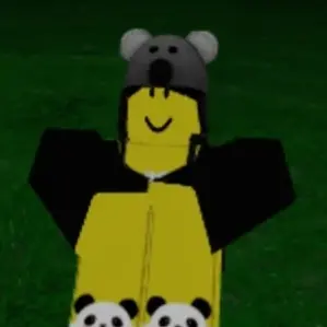 Profile image of 코알라키드