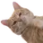 나물이