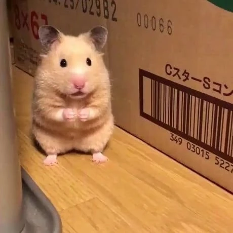 서명호