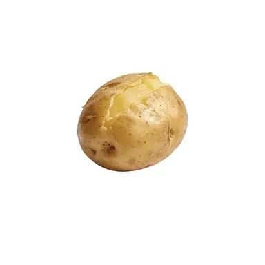 Profile image of Sawamura Daichi