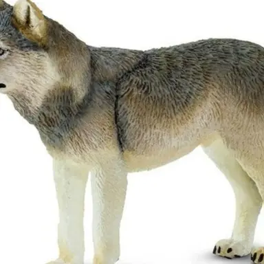 Profile image of Wolf