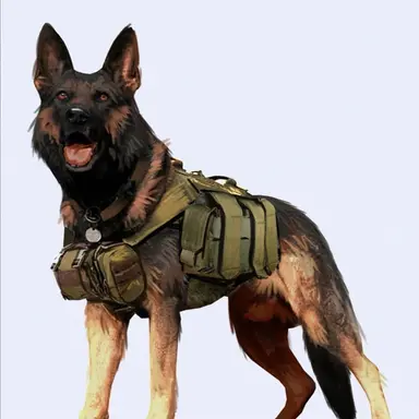 Profile image of Juno