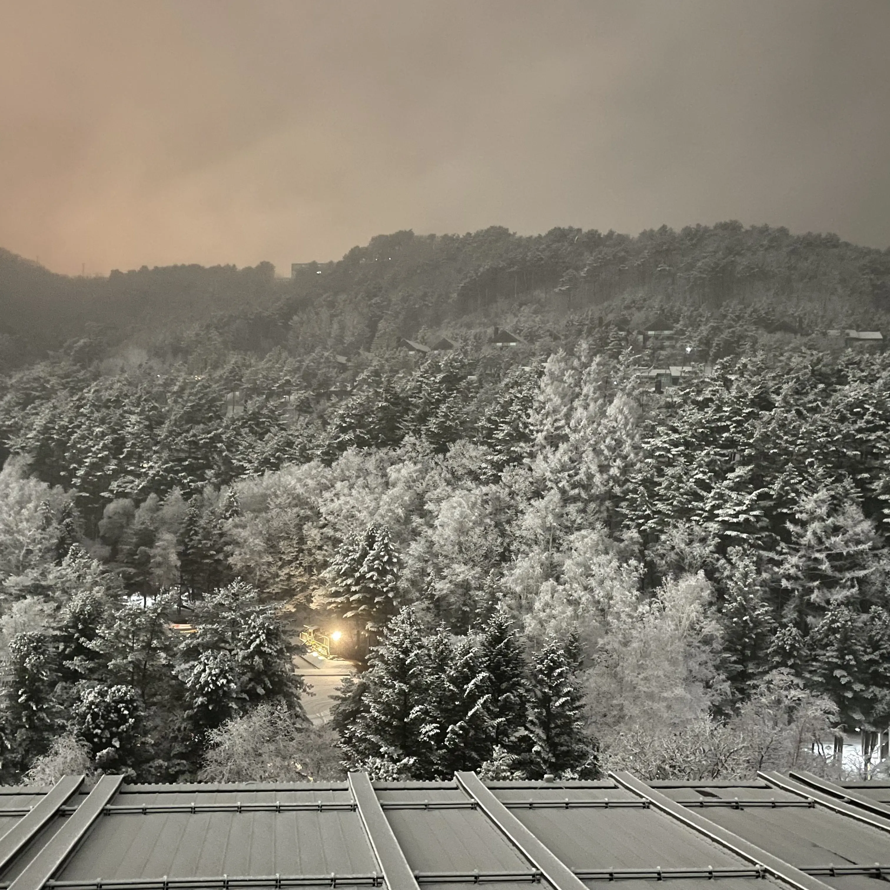 VapidHeart8488의 스키