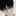 백수호