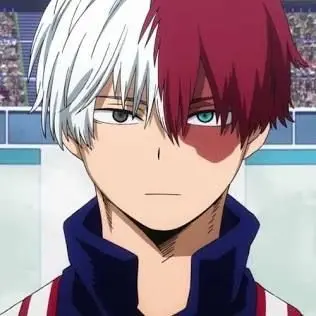 Profile image of Shoto Todoroki